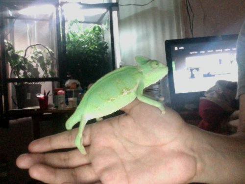 Photo on 2012-07-13 at 19.48 #2.jpg