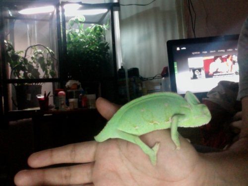 Photo on 2012-07-13 at 19.48 #3.jpg