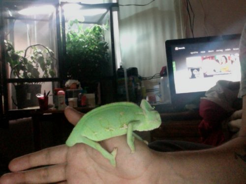 Photo on 2012-07-13 at 19.48 #4.jpg