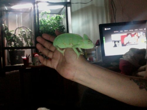 Photo on 2012-07-13 at 19.49.jpg