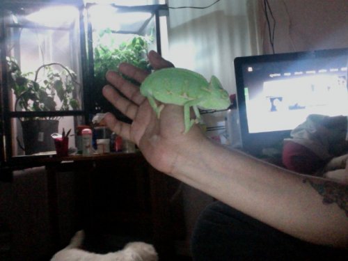 Photo on 2012-07-13 at 19.49 #2.jpg