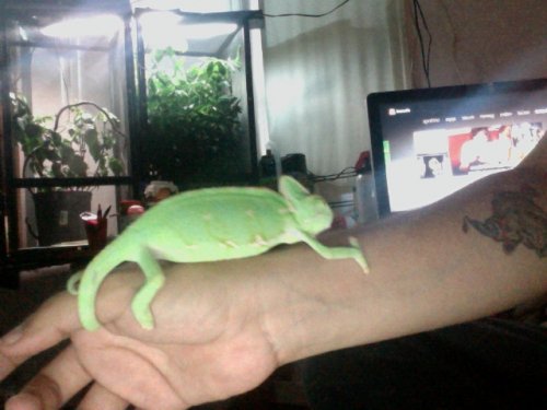 Photo on 2012-07-13 at 19.49 #4.jpg