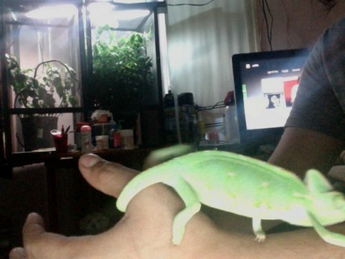 Photo on 2012-07-13 at 19.50.jpg