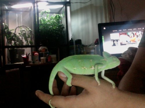 Photo on 2012-07-13 at 19.51 #3.jpg