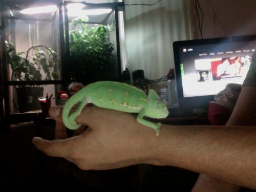 Photo on 2012-07-13 at 19.51 #4.jpg