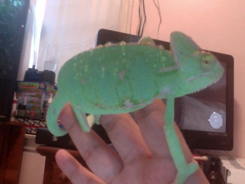 Photo on 2012-07-14 at 17.48 #2.jpg