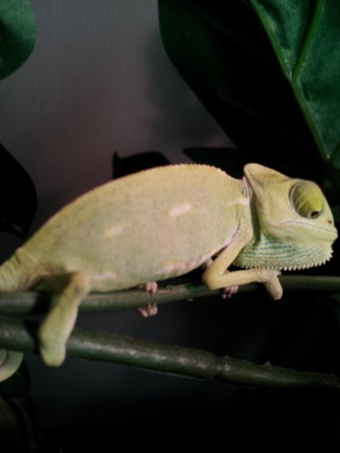 20120821_093258.jpg