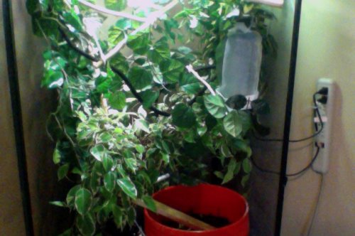 Photo on 8-23-12 at 12.46 PM #2.jpg