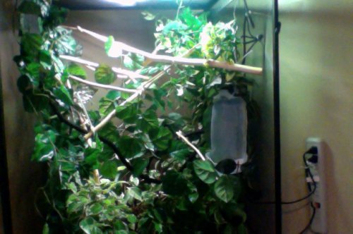 Photo on 8-23-12 at 12.46 PM.jpg