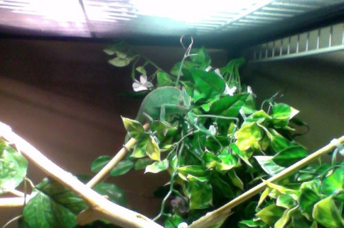 Photo on 8-23-12 at 12.46 PM #4.jpg