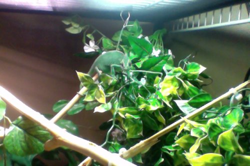 Photo on 8-23-12 at 12.46 PM #3.jpg