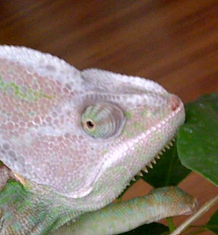 IMG-20120823-00799.jpg
