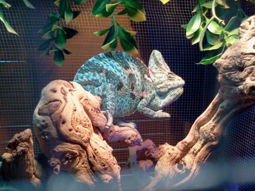 2012-08-24 19.03.51.jpg