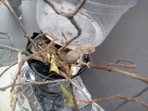 2012-08-24 19.00.57.jpg