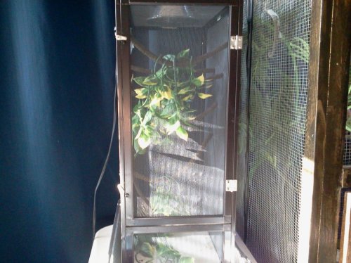 2012-08-13 17.53.05.jpg