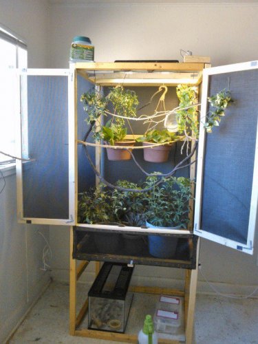 cage7.jpg