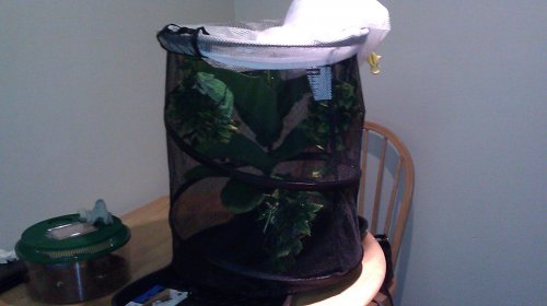 IMAG0110.jpg