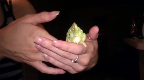 IMAG0113.jpg