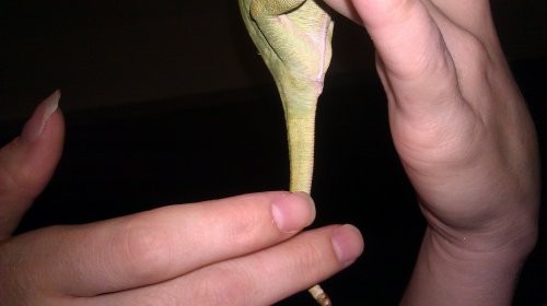 IMAG0114.jpg