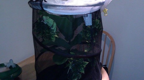 IMAG0109.jpg