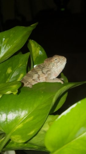 2012-08-27_20-07-24_320.jpg