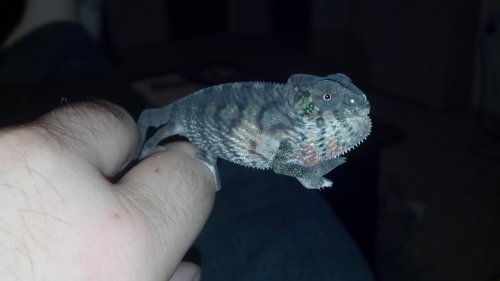 2012-08-27_19-57-58_203.jpg