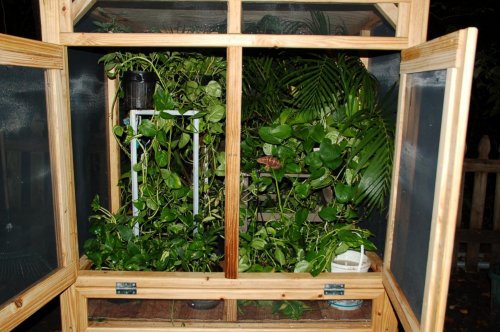 Enclosure1.jpg Enclosure1.jpg