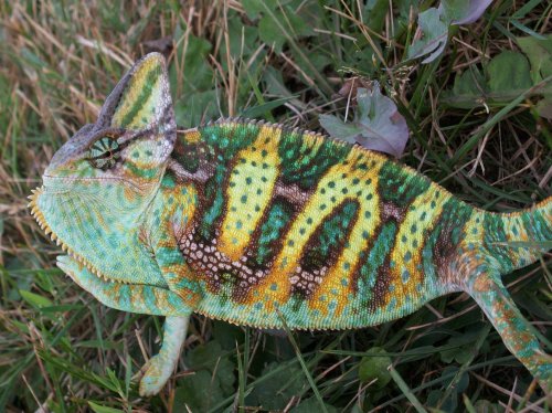 100_2169.jpg