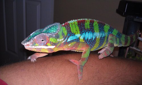 IMAG0535.jpg