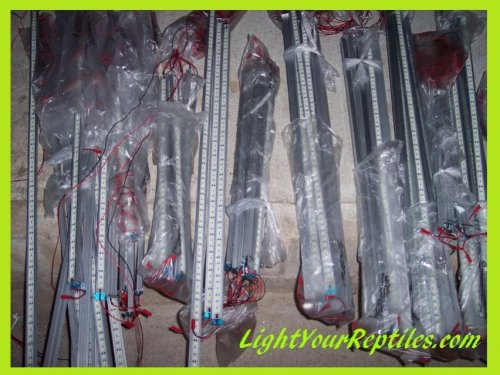 lots of barspromo.jpg