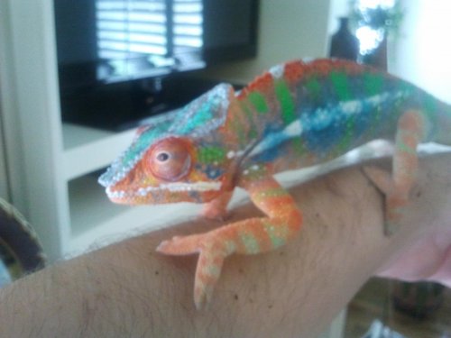 2012-09-02 13.12.46.jpg