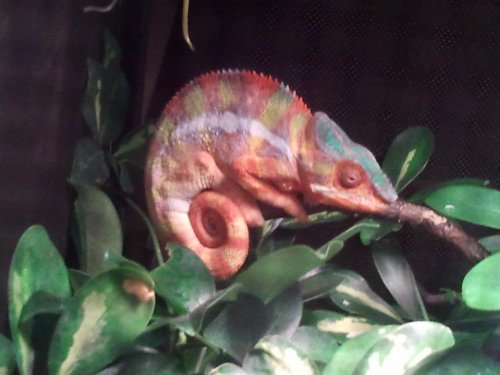 2012-06-20 20.29.17.jpg