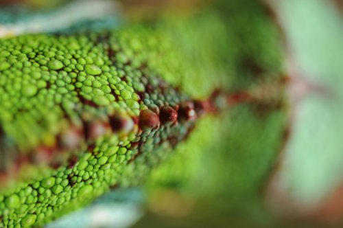 _DSC0032.jpg