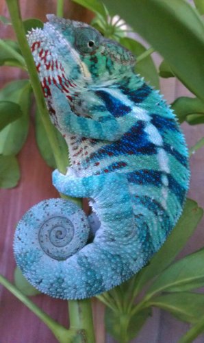 2012-06-18 18.59.46.jpg