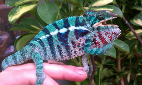 2012-06-25 09.27.46.jpg