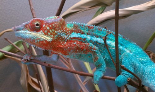 2012-06-30 16.15.07.jpg