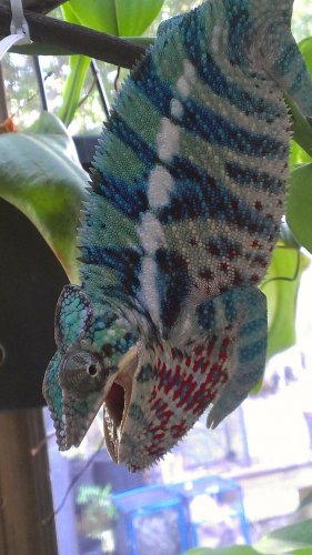 2012-09-03 17.39.29.jpg