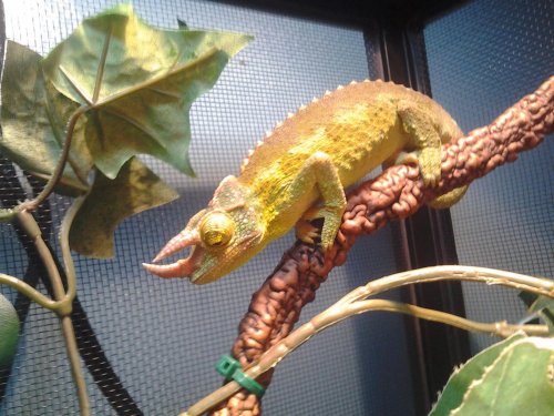 20120903_195138.jpg