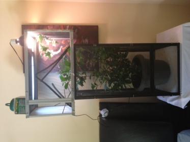 cham cage-1302551439.jpg