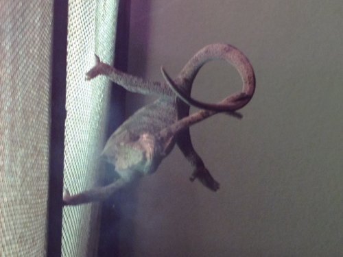 photo-4.JPG