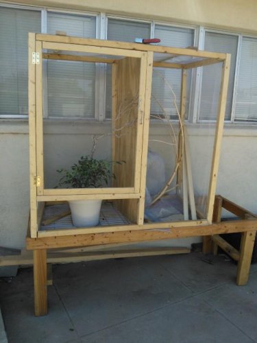 cage10.jpg