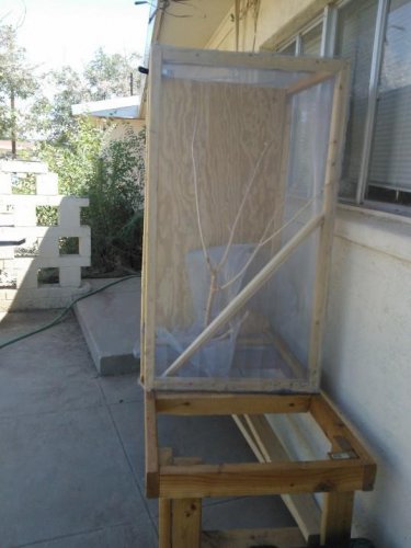 cageside.jpg
