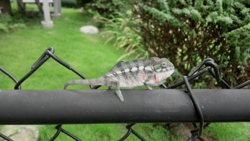 2012-09-06_11-33-39_396.jpg