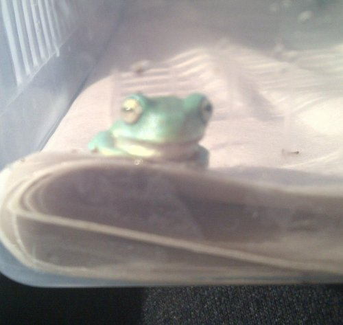 New Forest-20120908-00927.jpg