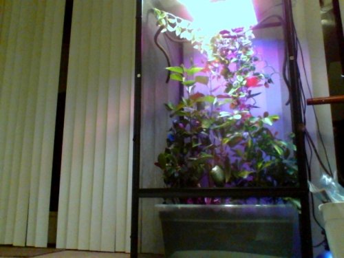 120908-201225.jpg