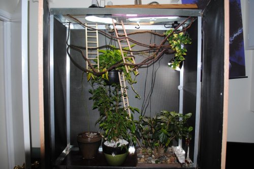 digi pics 788.jpg