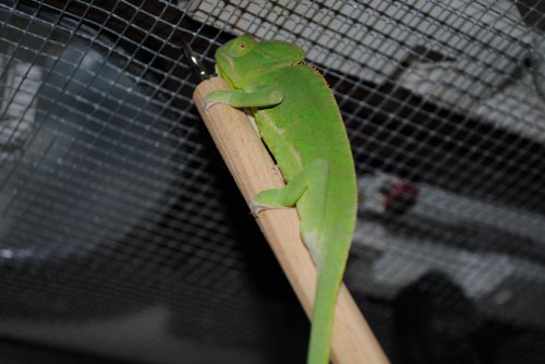 digi pics 769.jpg