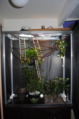digi pics 787.jpg