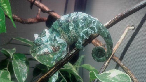2012-09-12_13-14-47_361.jpg