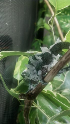 2012-09-12_14-46-39_636.jpg